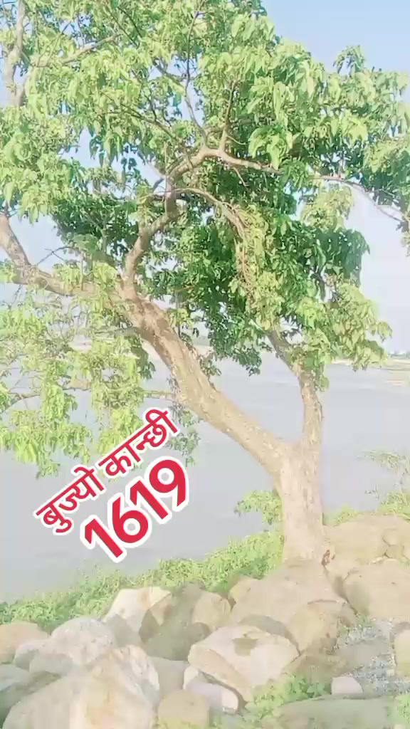 @प्रेम खड्का1619