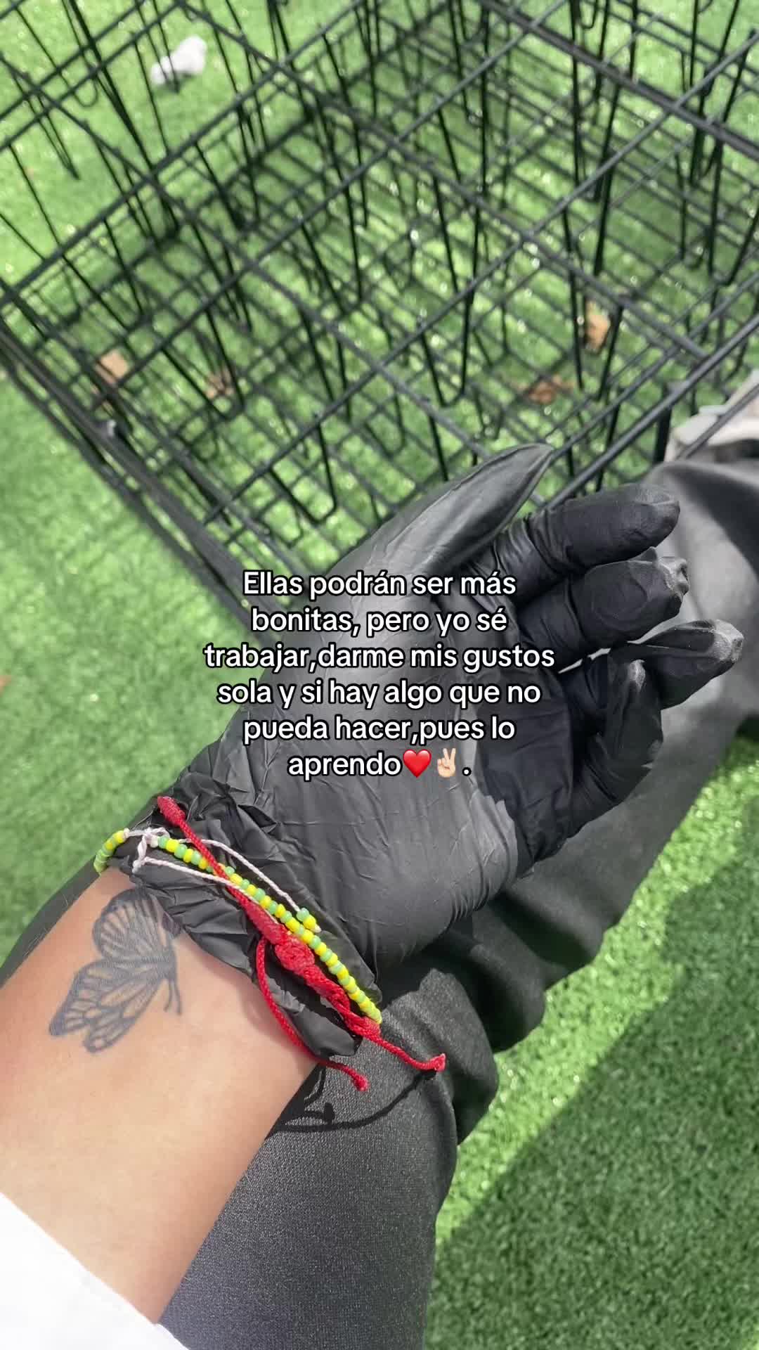 @⭐️.🐆.
