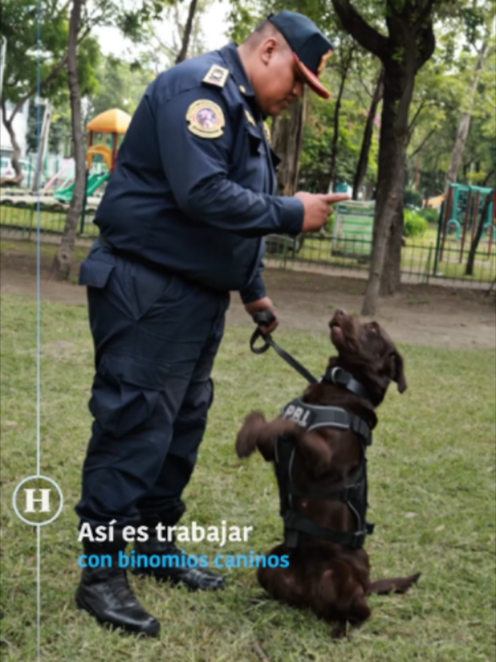 @elheraldodemexico
