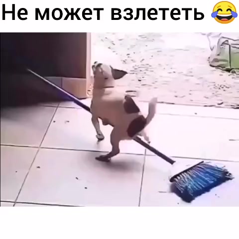 @Dima Marvin ☑️