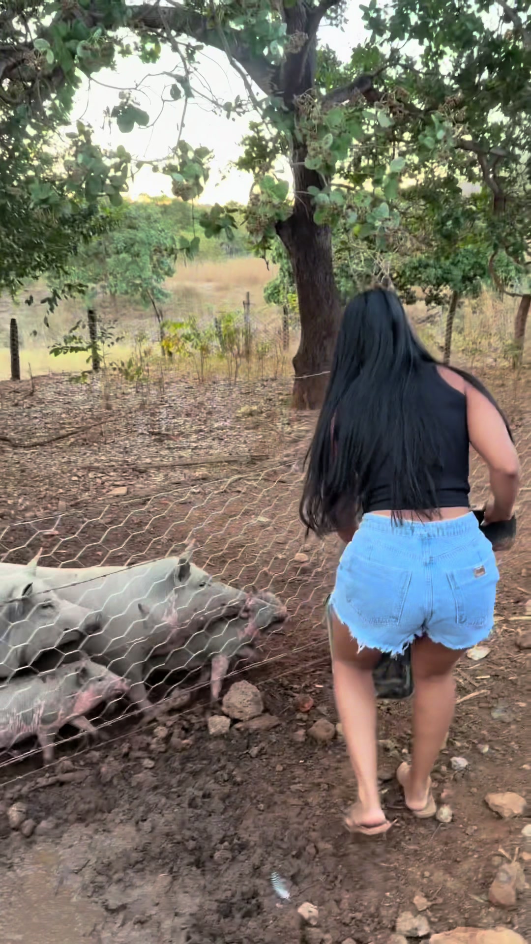 @Raquel Lima Ribeiro