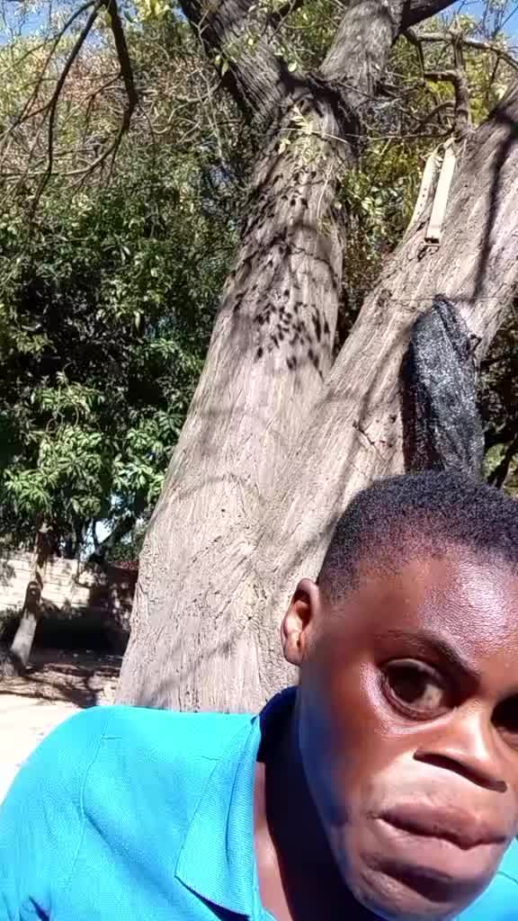 @malishav
