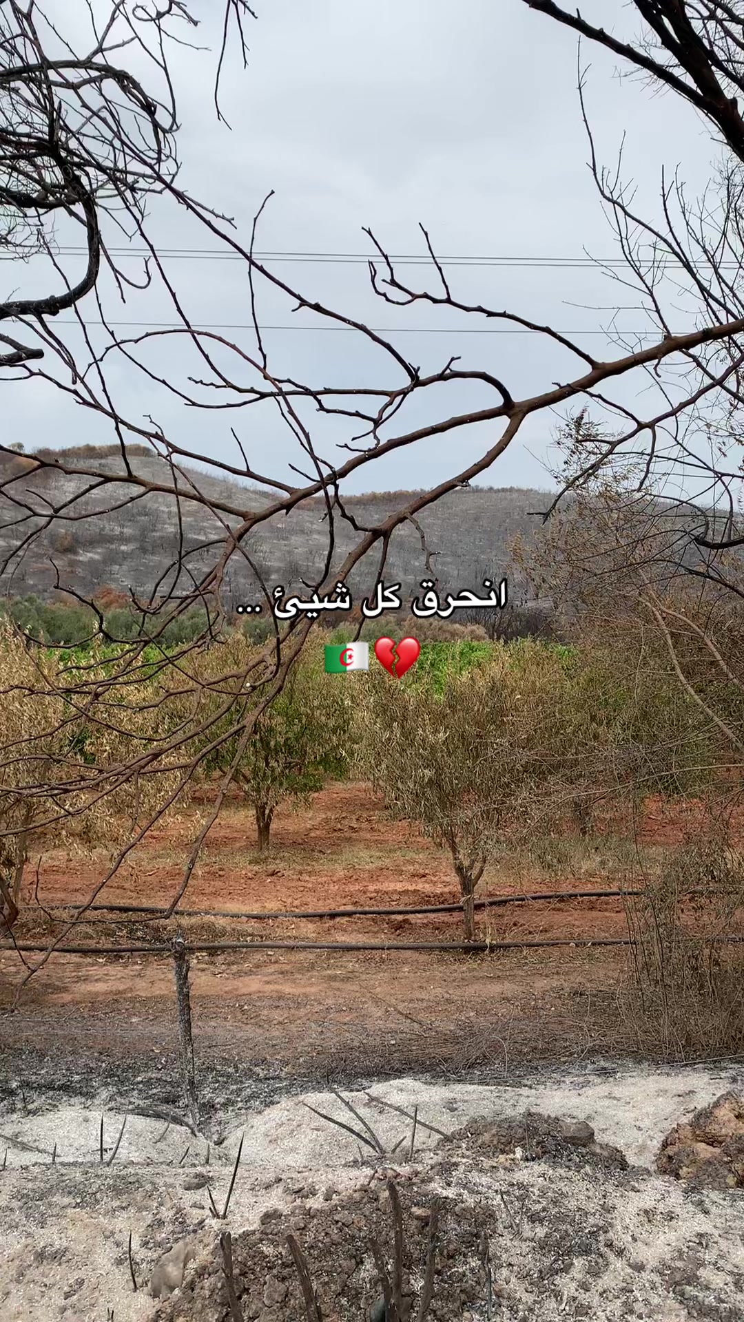 @✨ Nourhen 🇩🇿