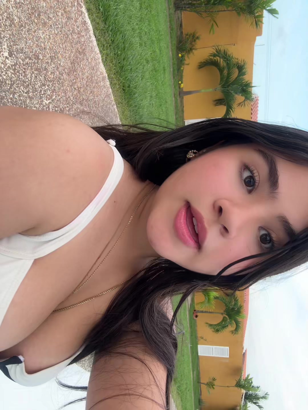 @Xaimar