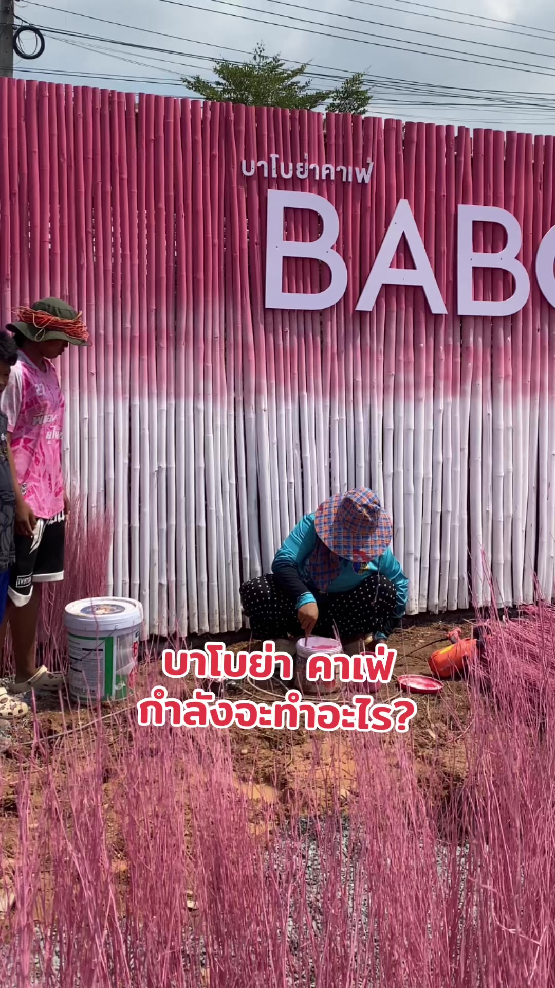 @Baboya cafe