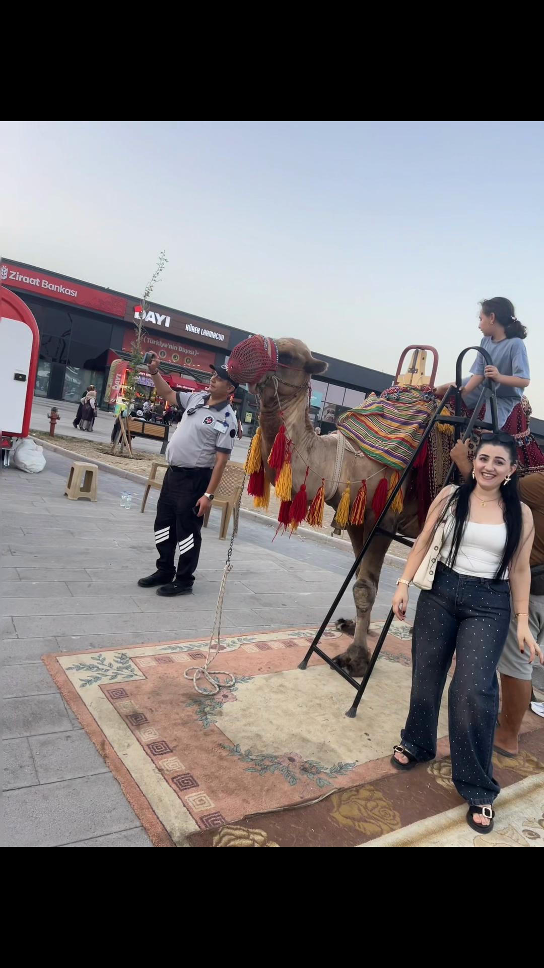 @İpek kesici
