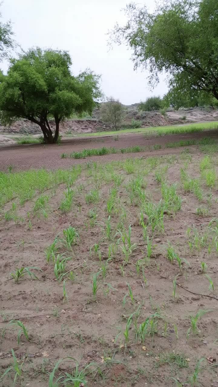 @Ameerkhosa786