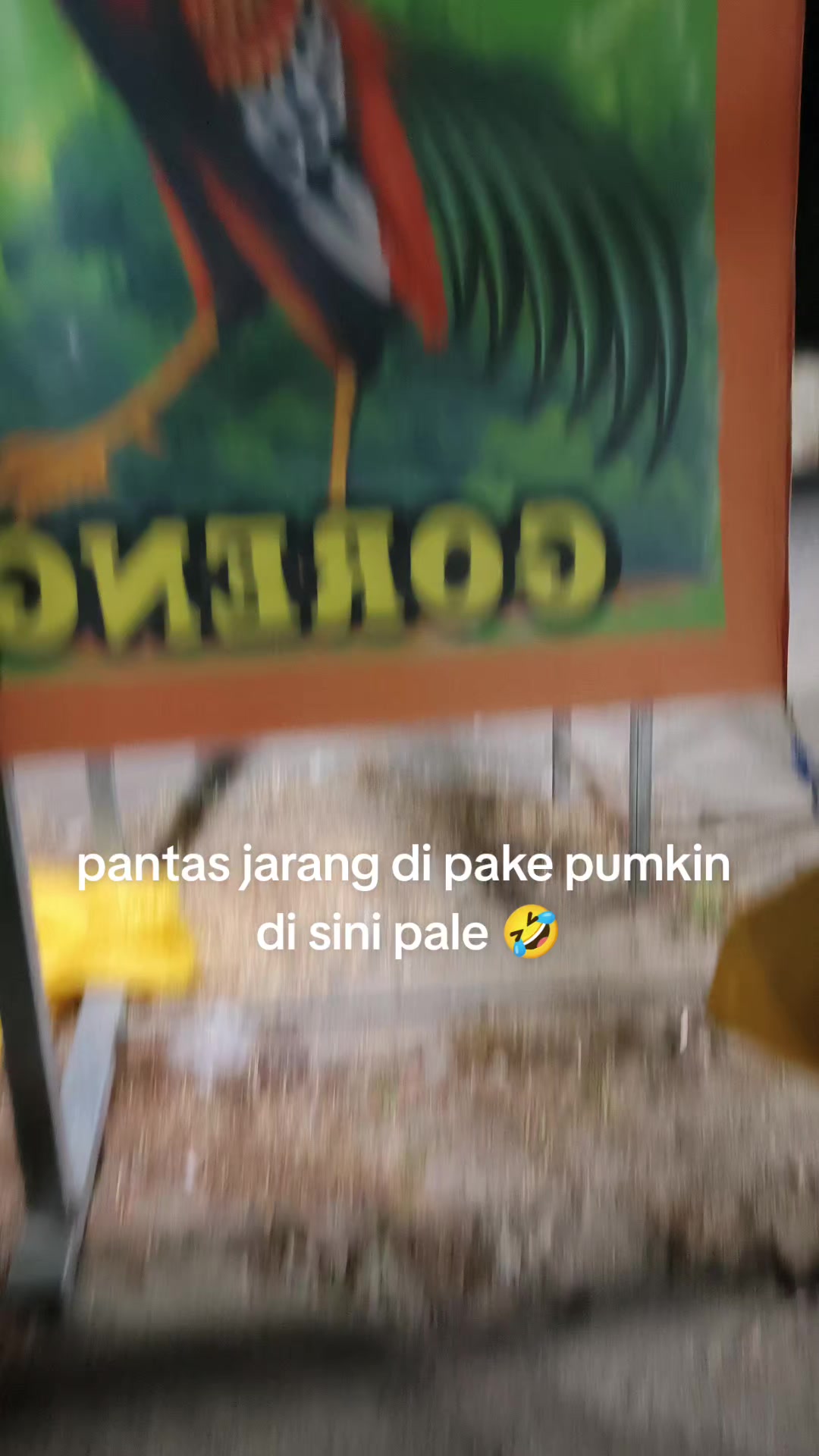 @pikkii