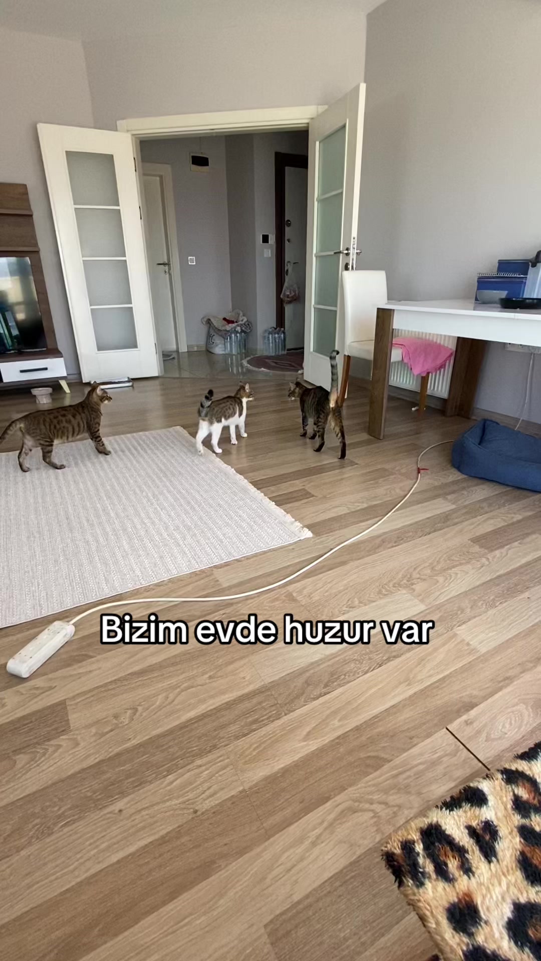 @yudummz_