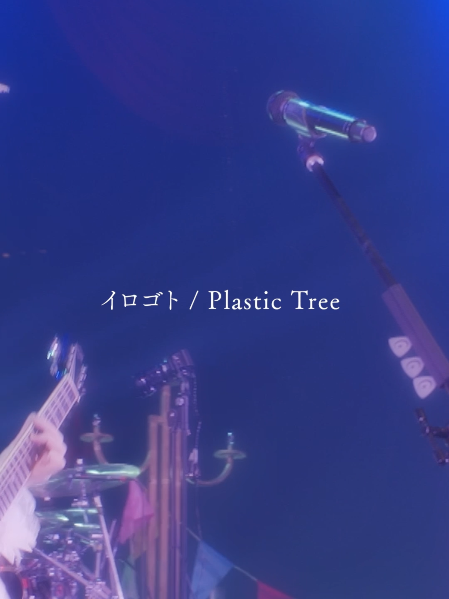 @Plastic Tree_official