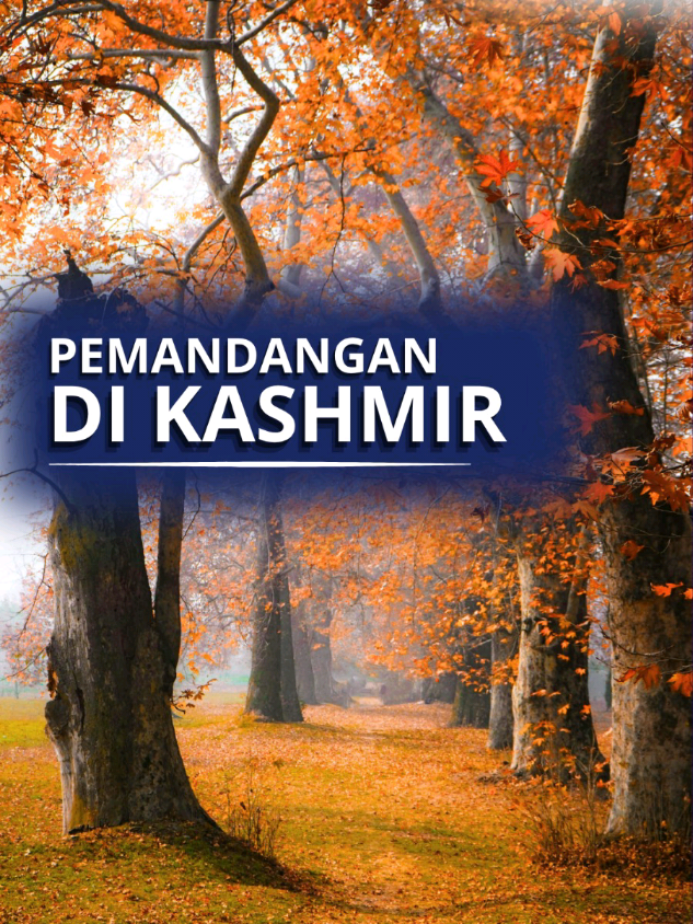 @Liburan Kashmir India