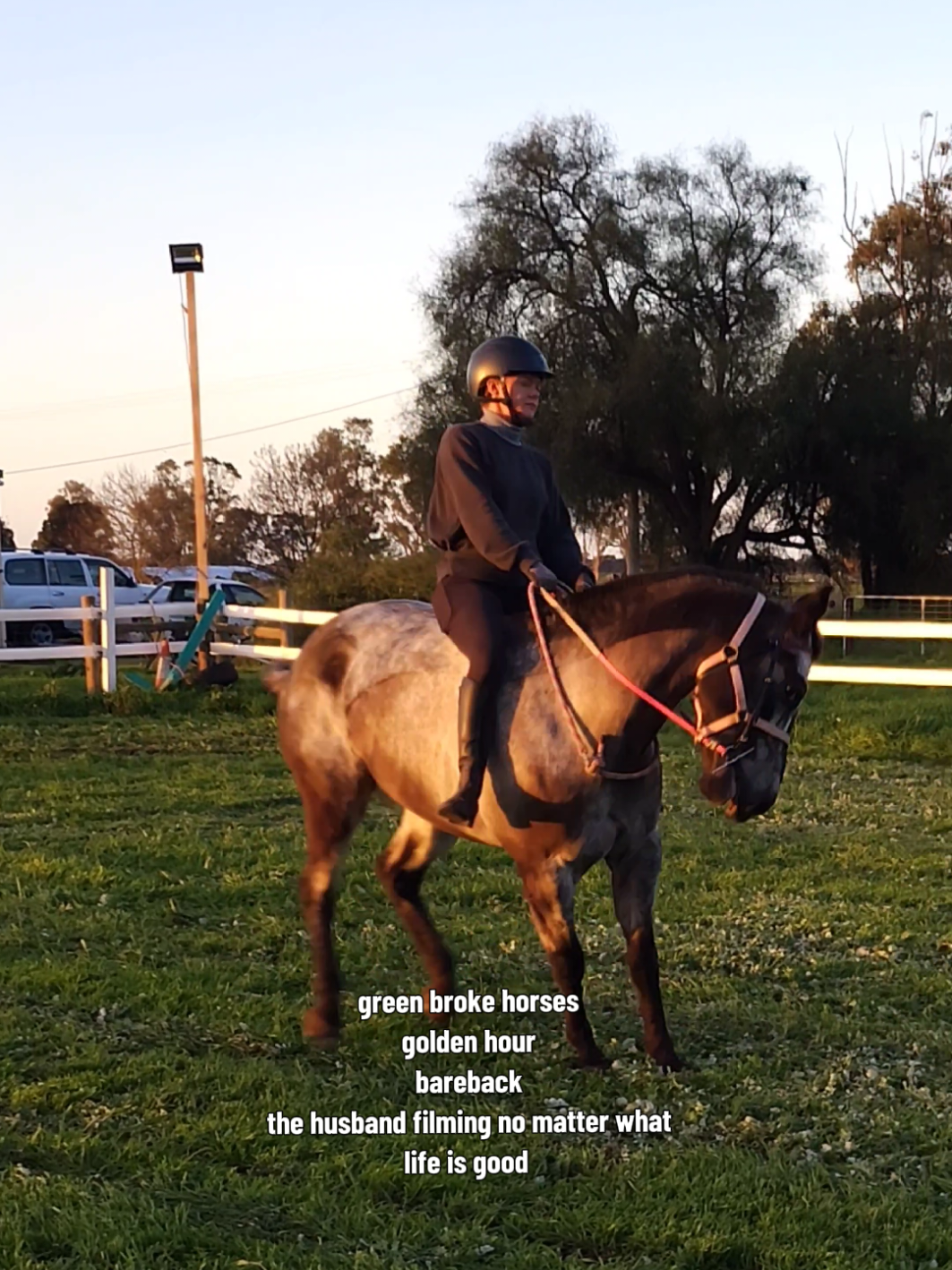 @Jess | Horse trainer