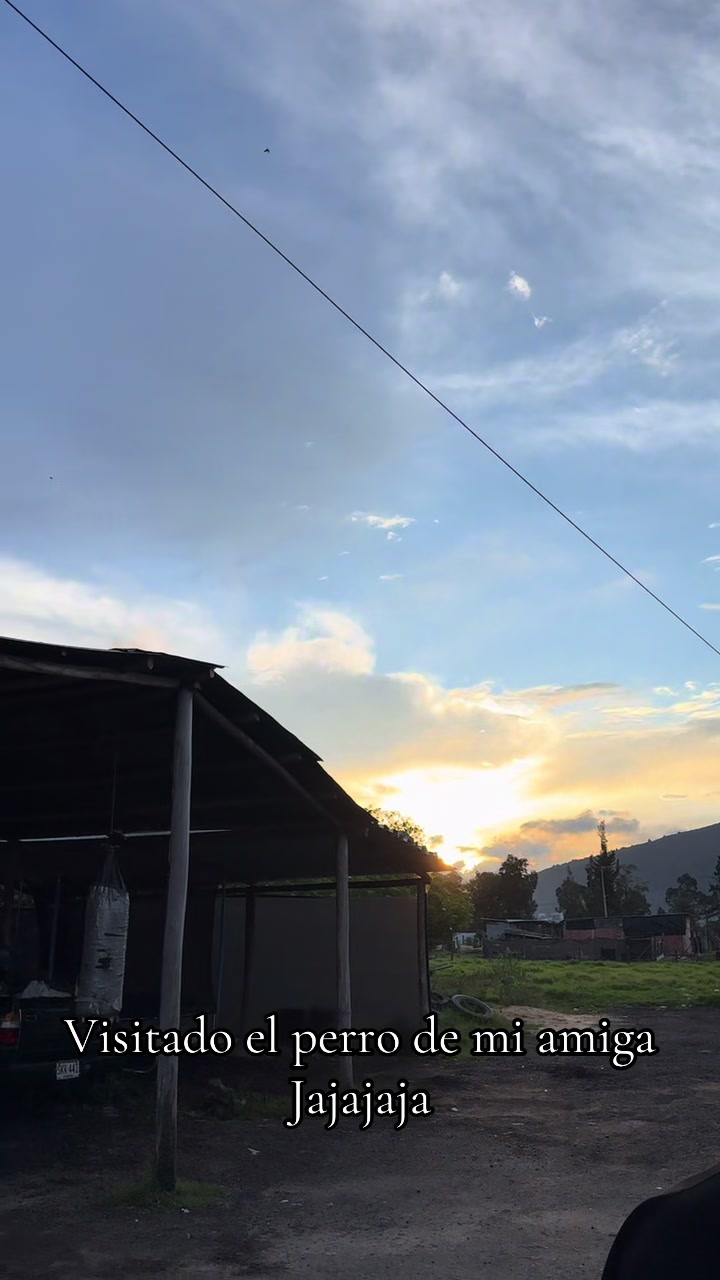 @Alejandra F