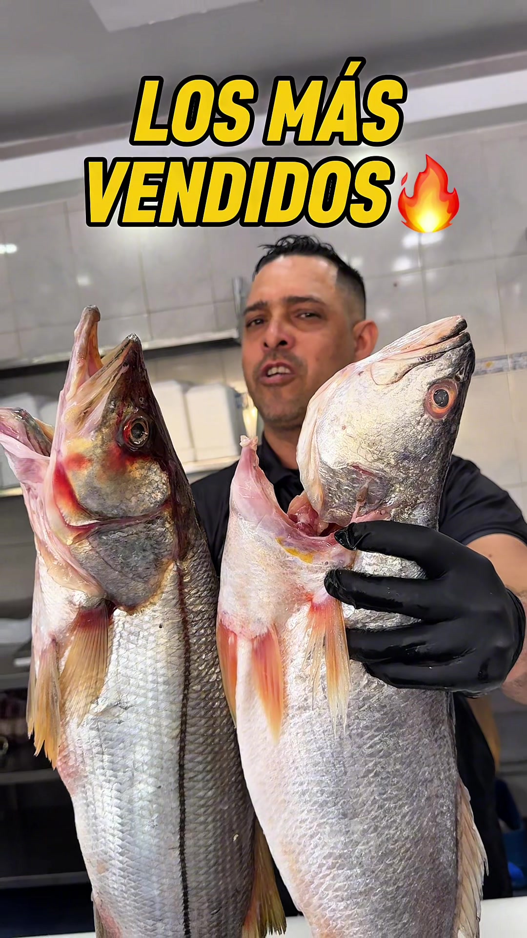 @Lamansiondelpescado