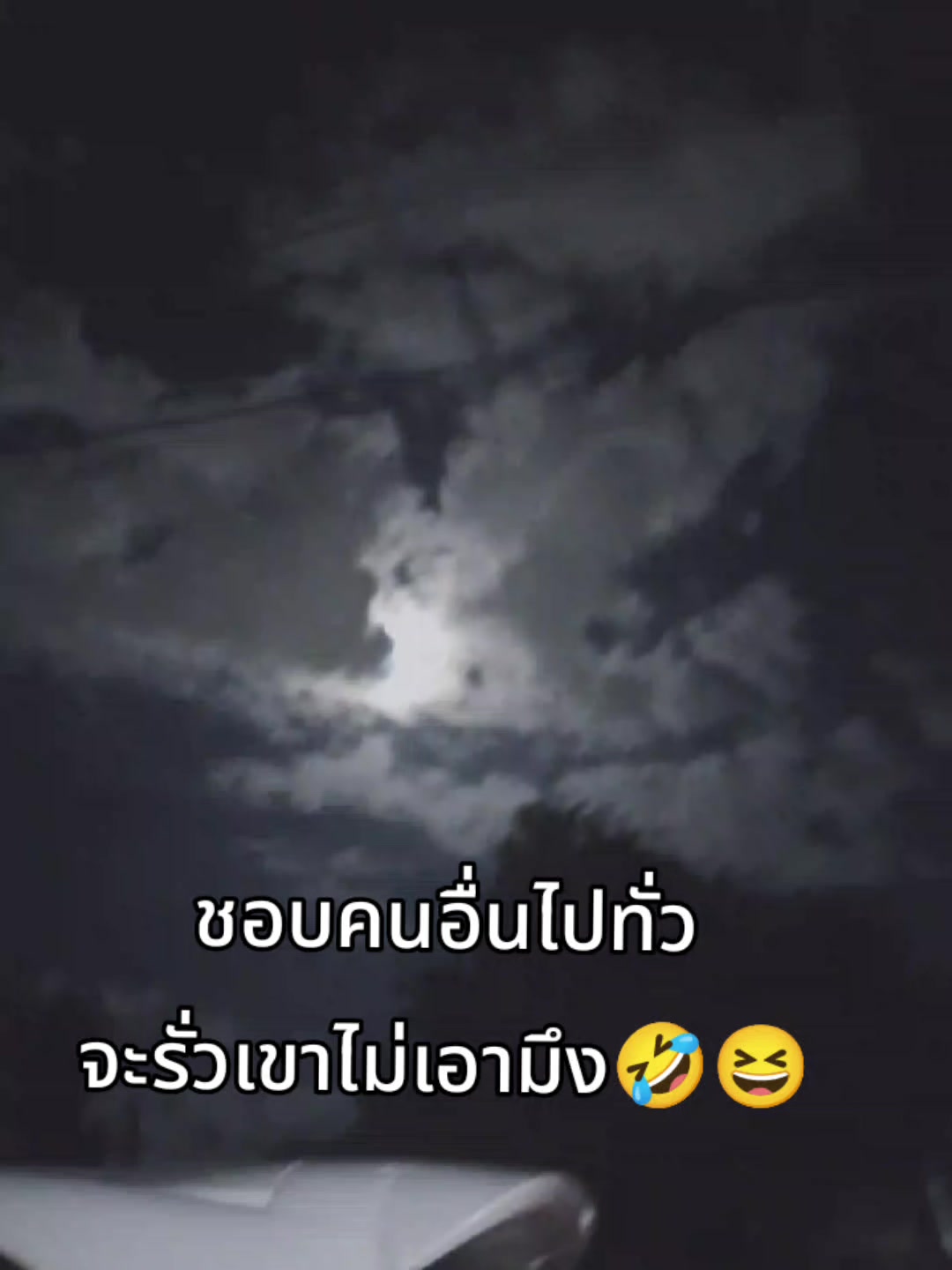 @🐈&zwj;⬛.