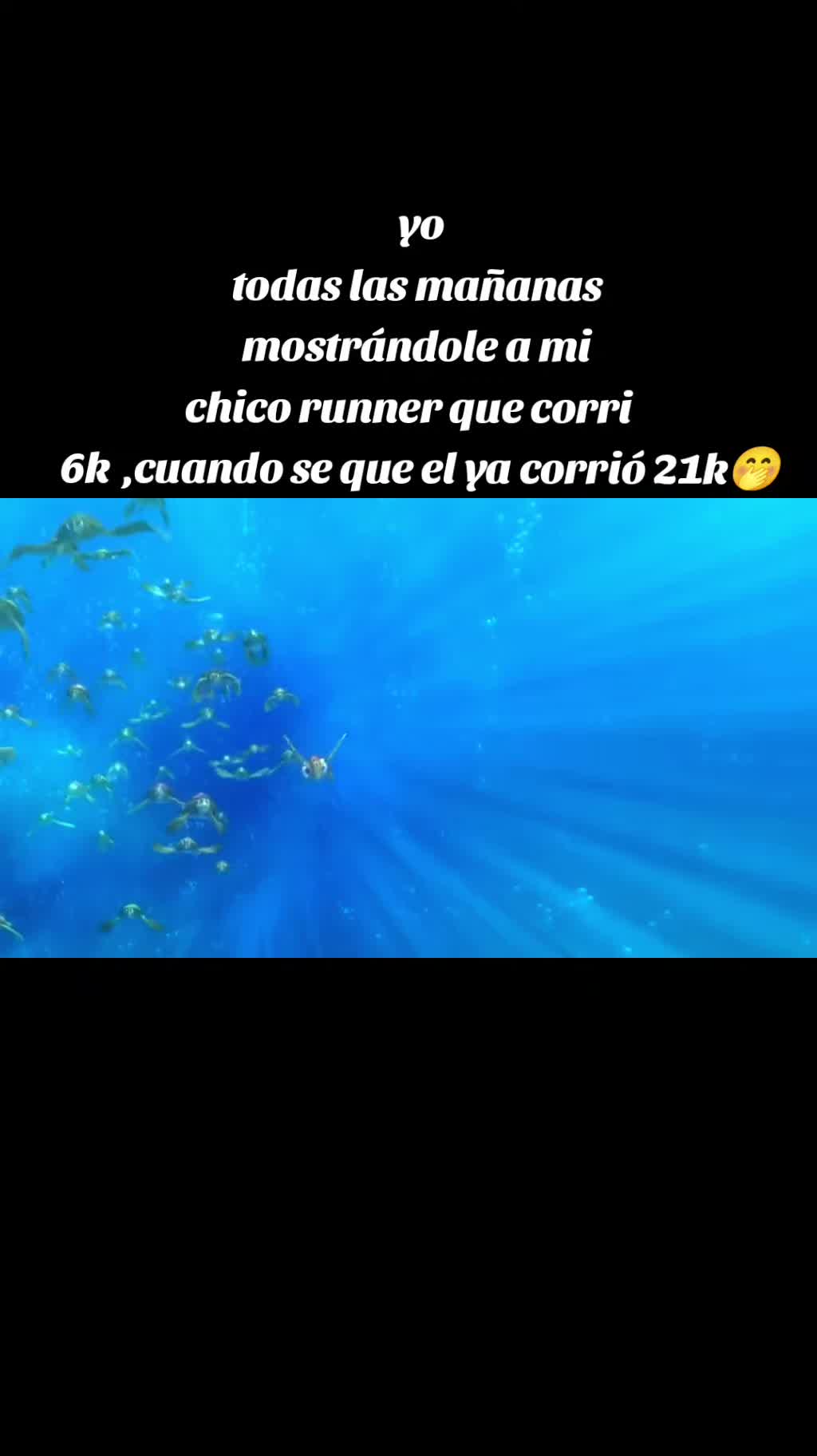 @Cat Naranjo 🩵