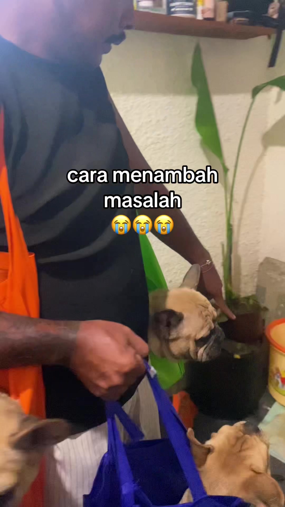 @Mak sambung