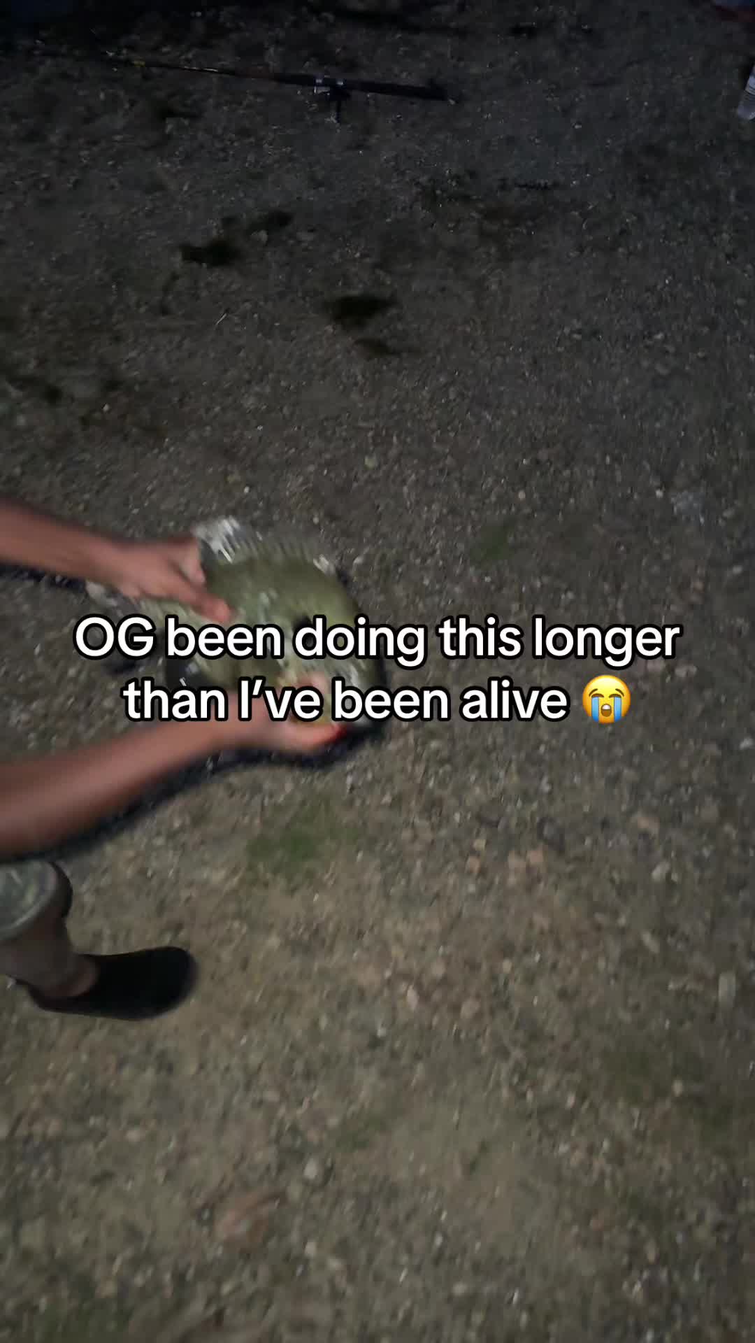 @TOP3