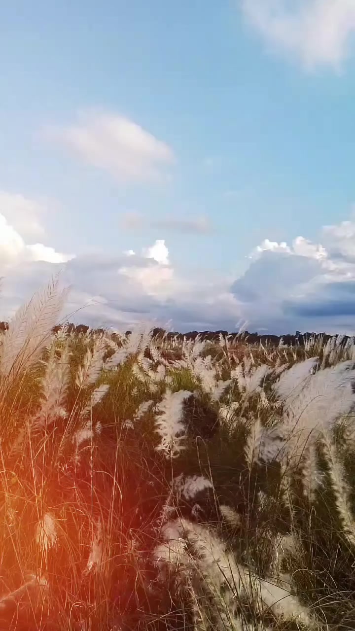@পাবনার©ছেলে…আমি™আলিফ