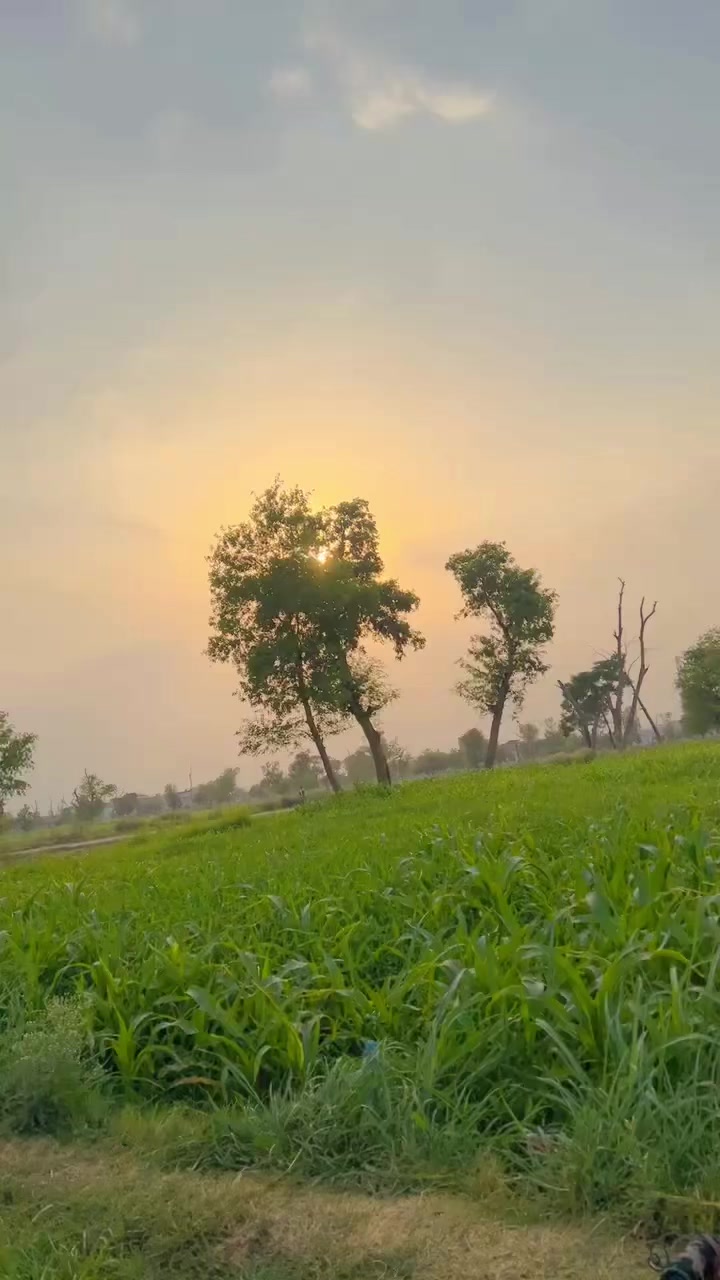 @پیر نسیم شاہ ❤️🔥🦁