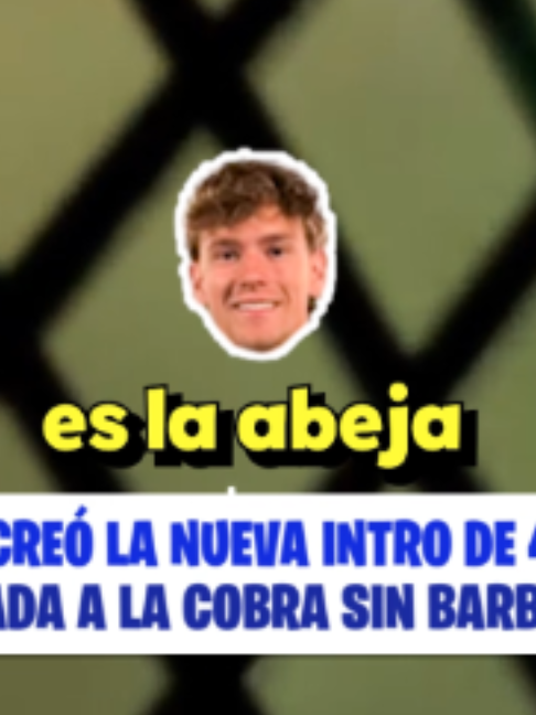 @teodeliaa