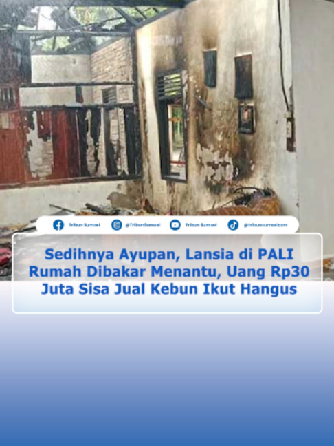 @Tribun Sumsel