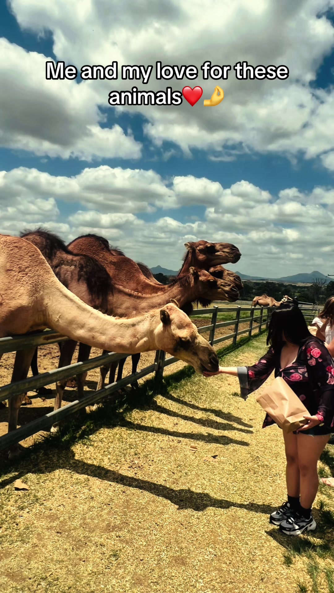 @Dipa Sapkota