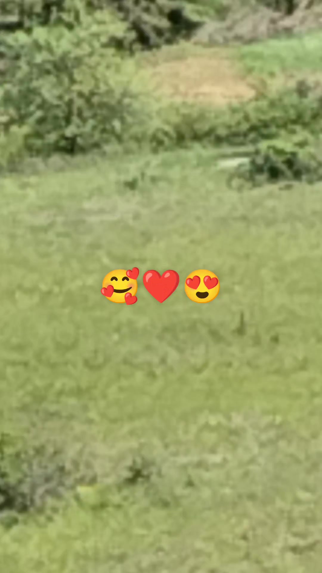 @papatya_65