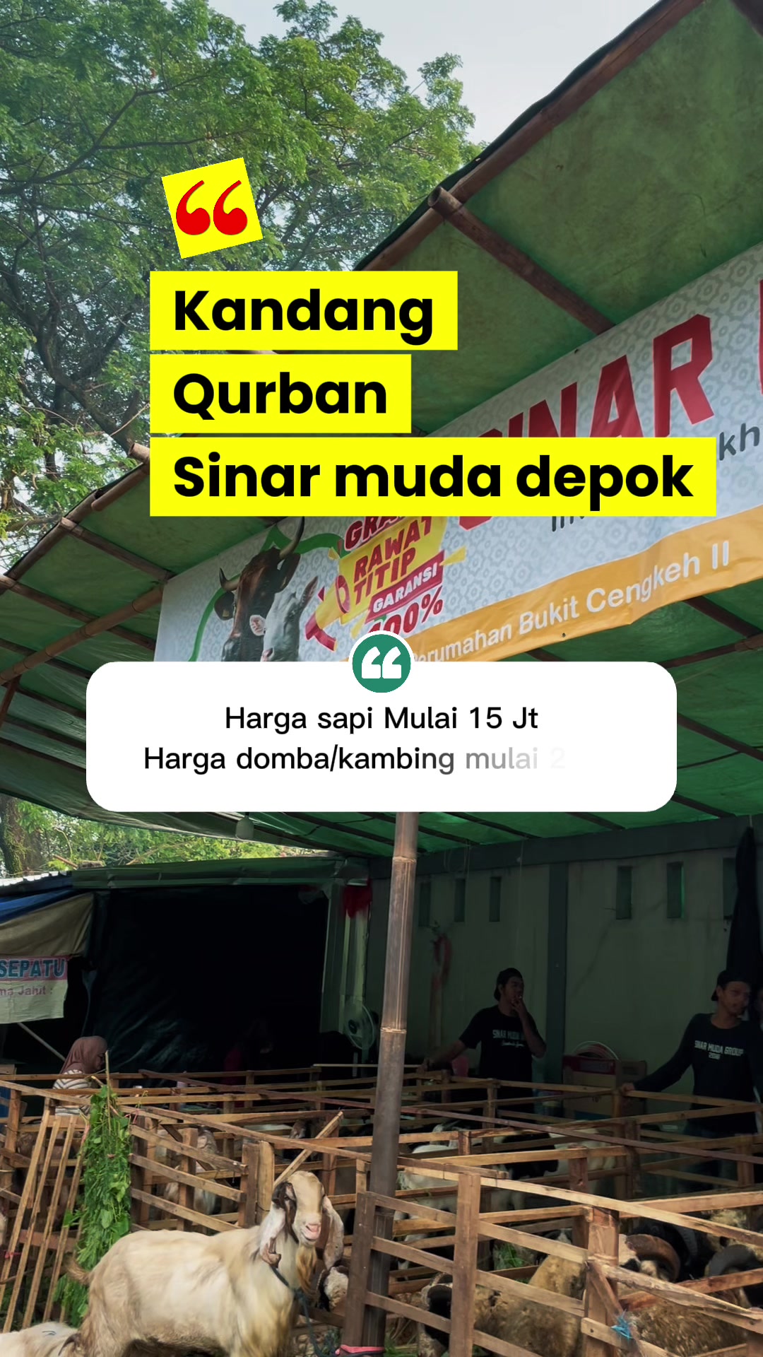 @sinar muda grup