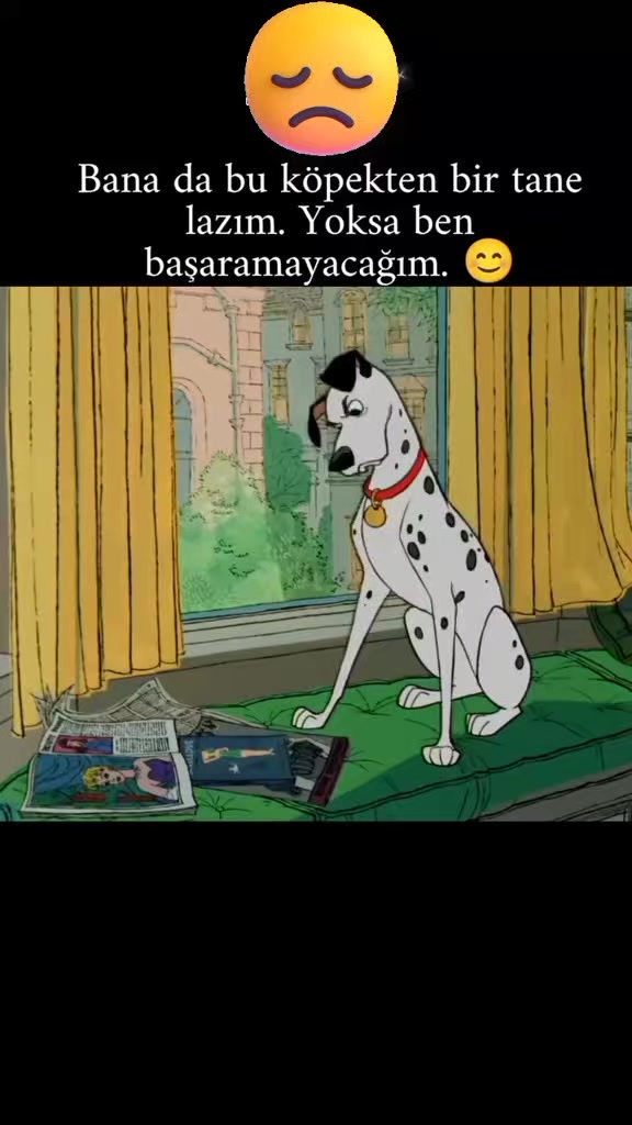 @imdat doğan