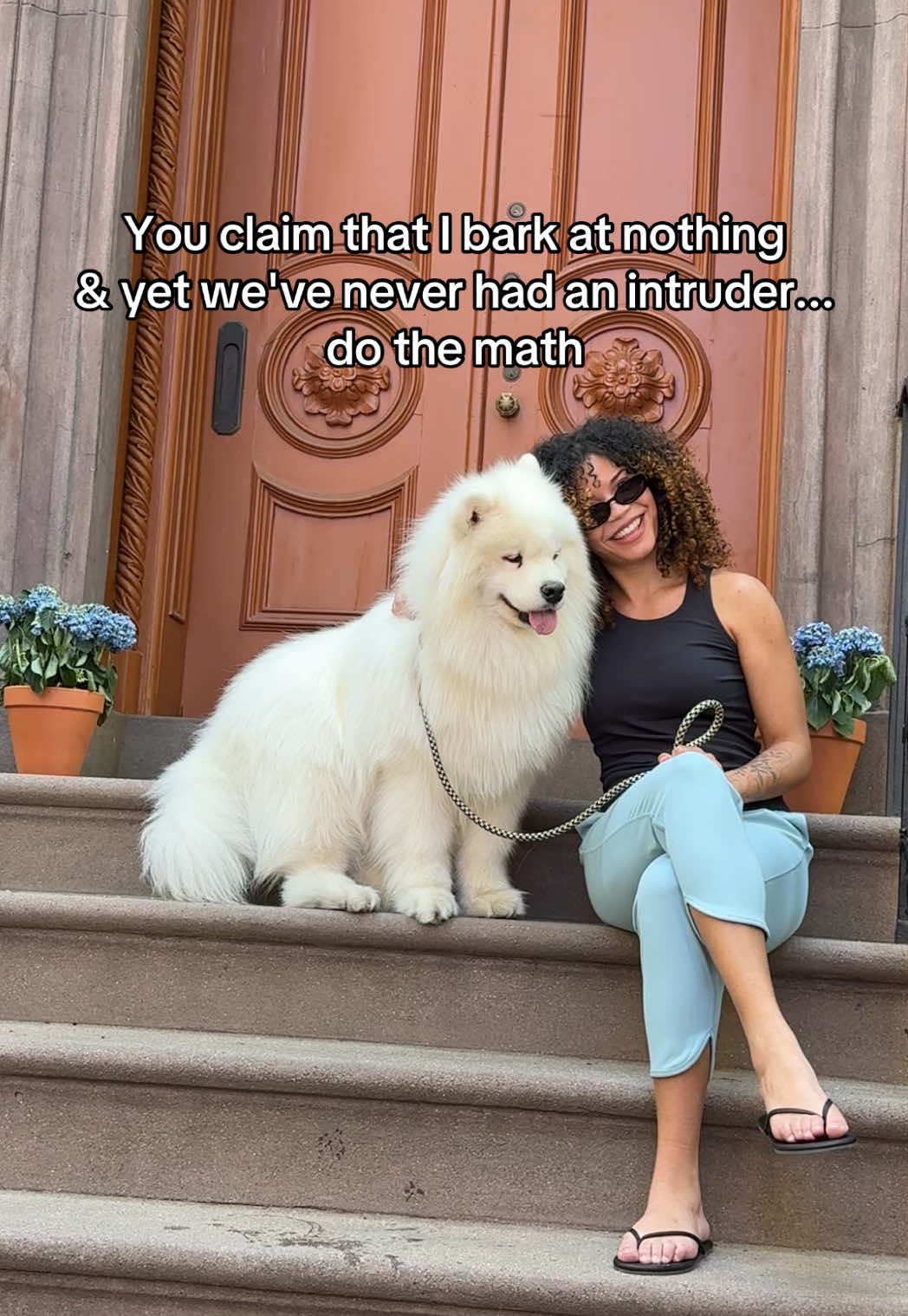 @Biff the Samoyed