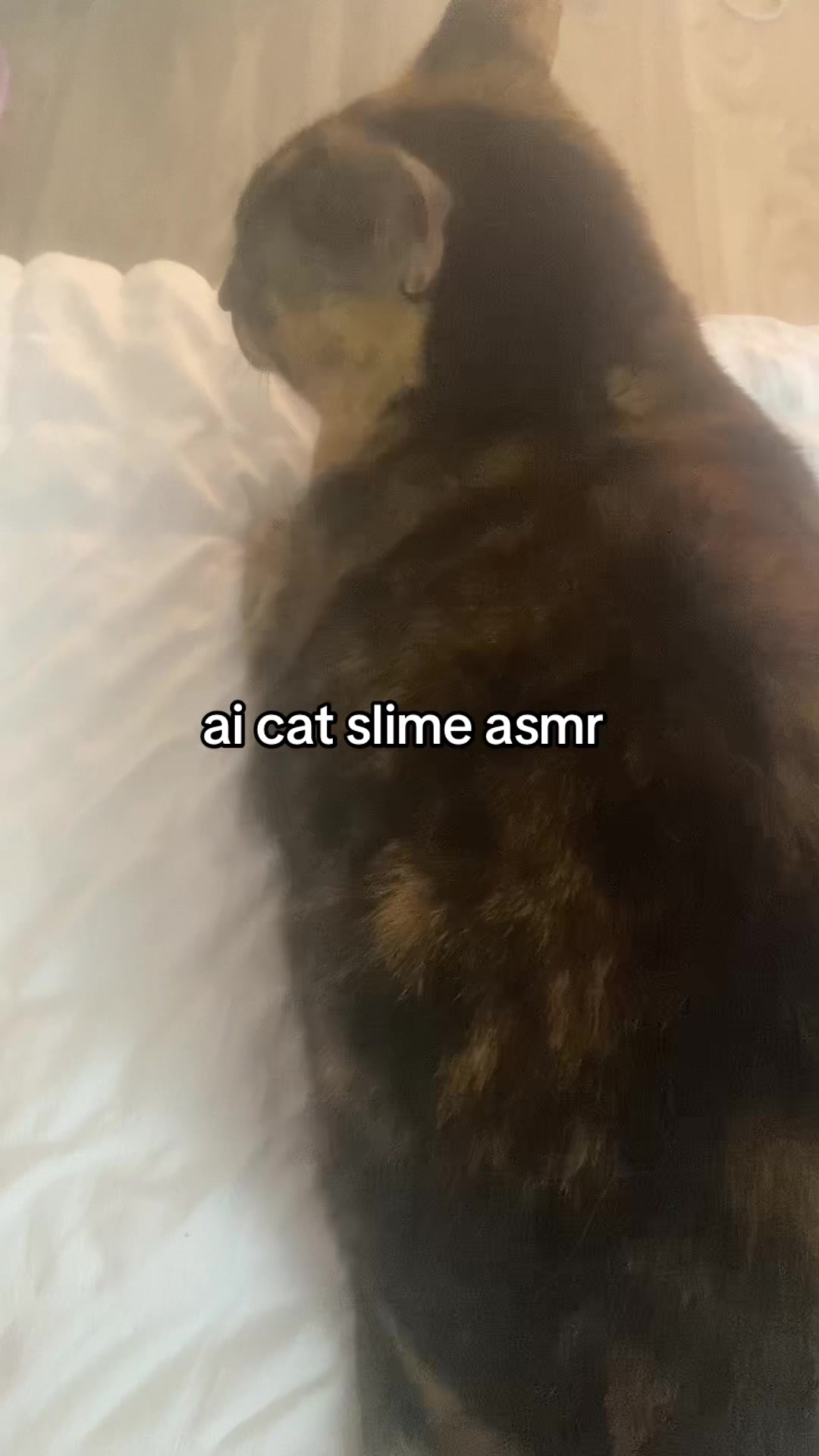 @low quality asmr
