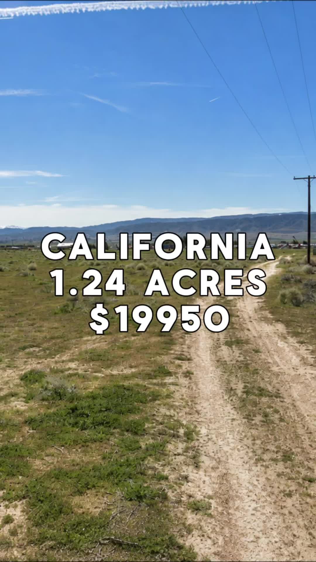 @LandCentury