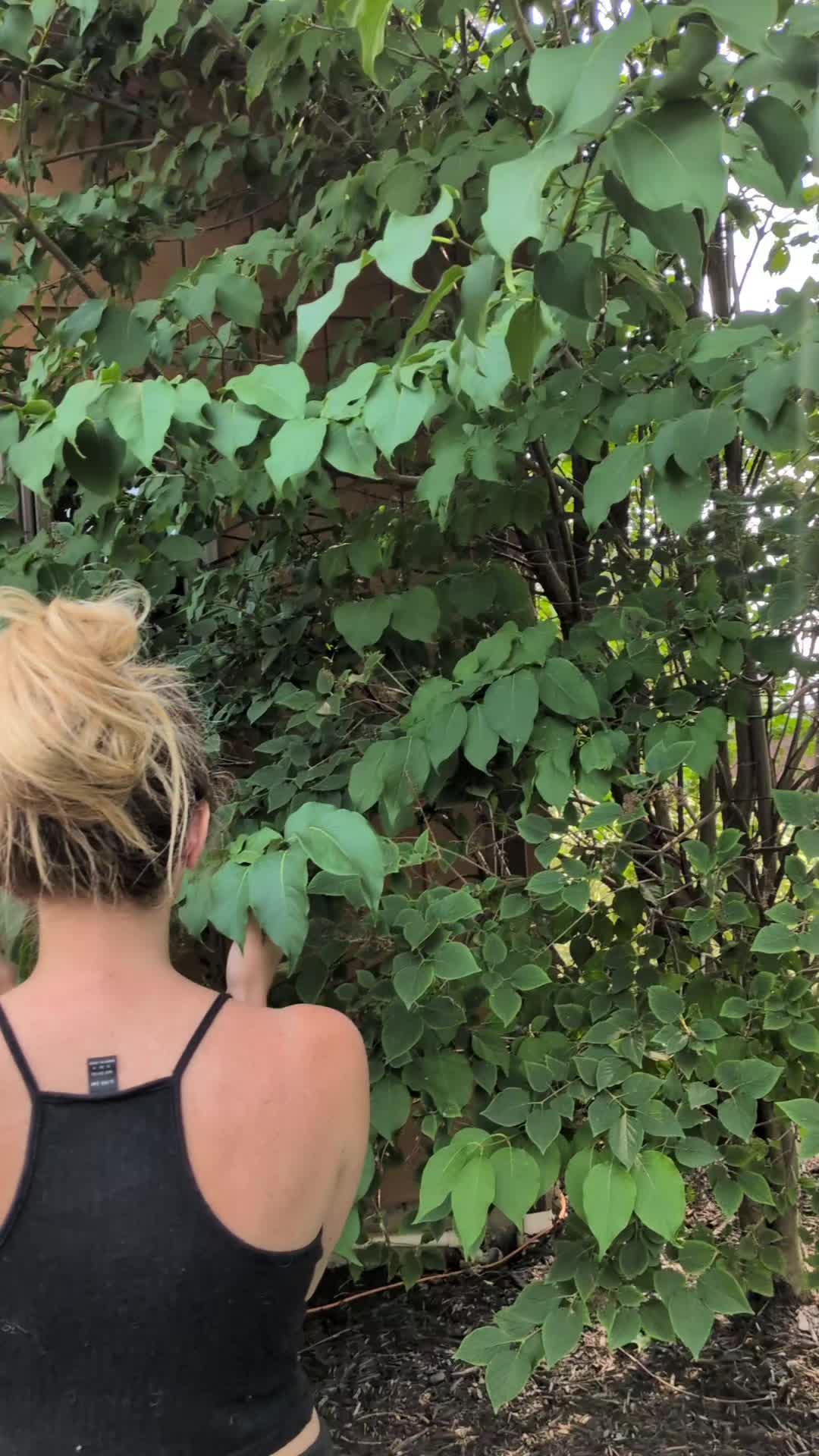 @Sarah✨🍃