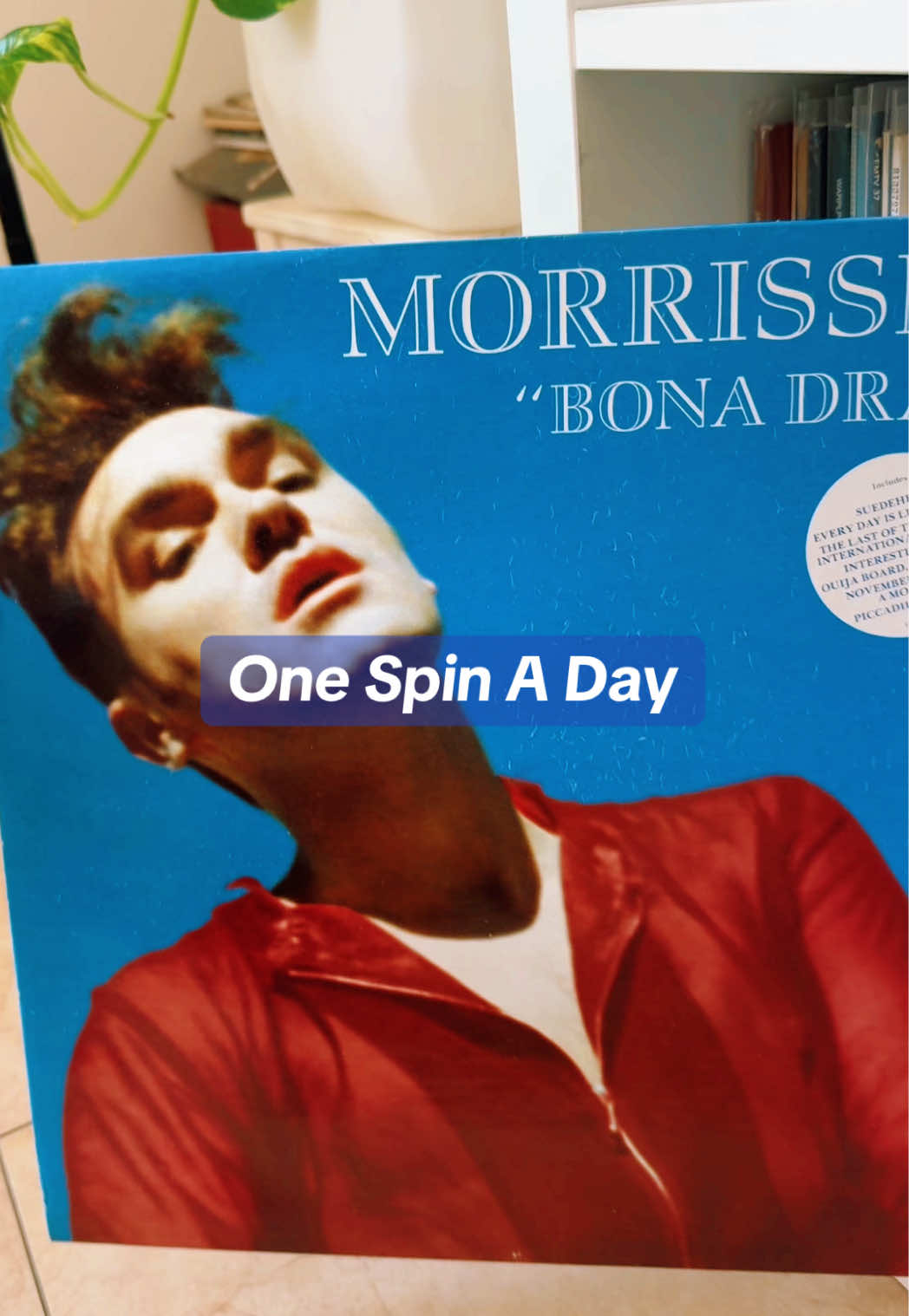 @OneSpinADay