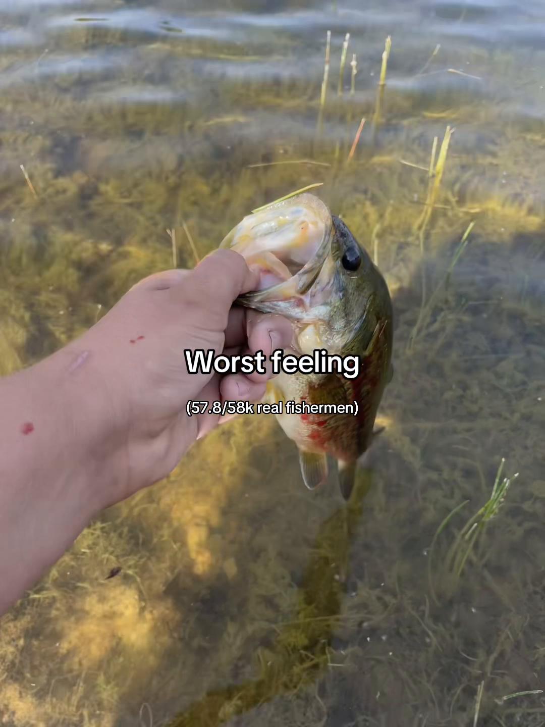 @fishingwithblake_