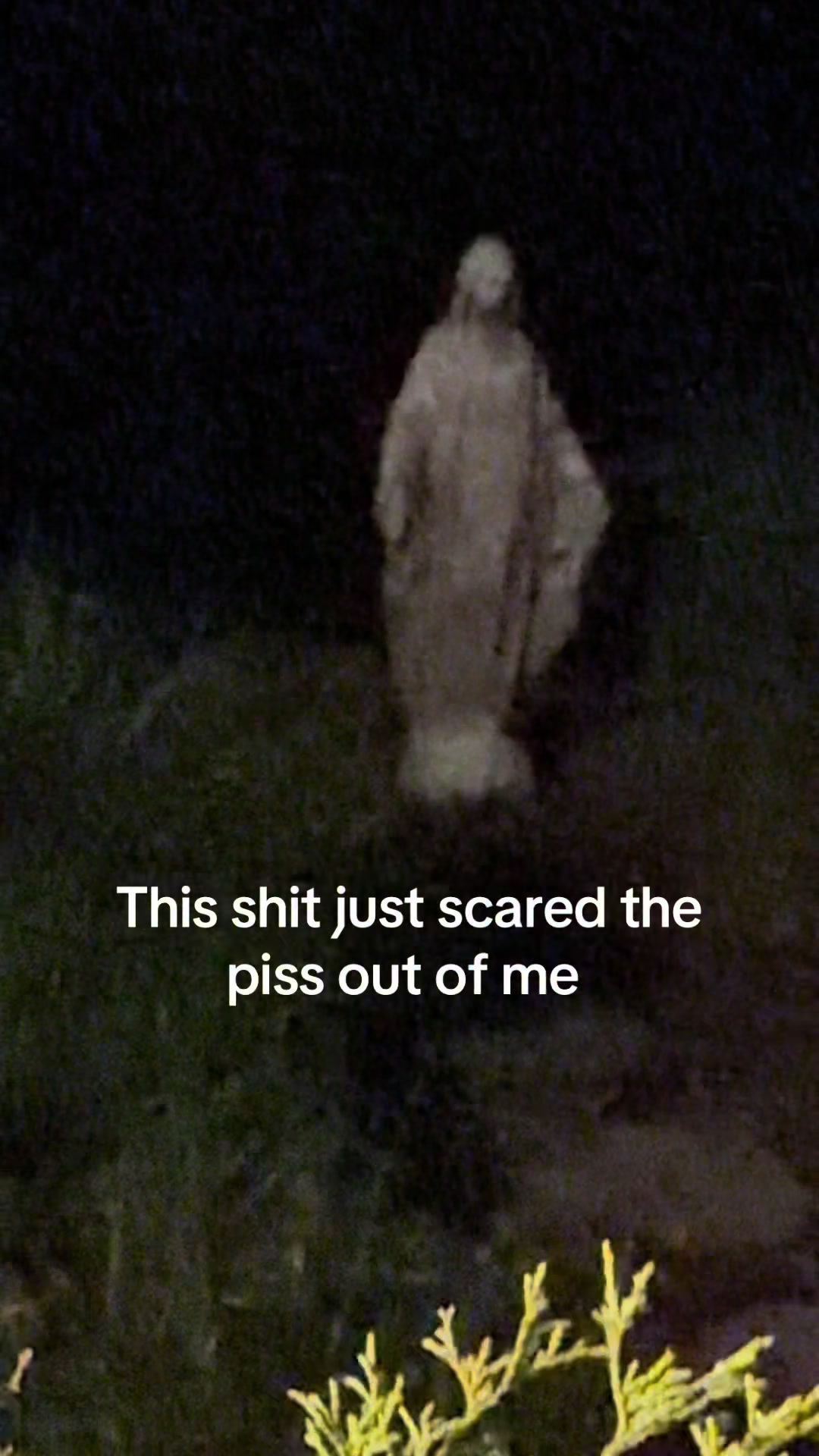 @Willie