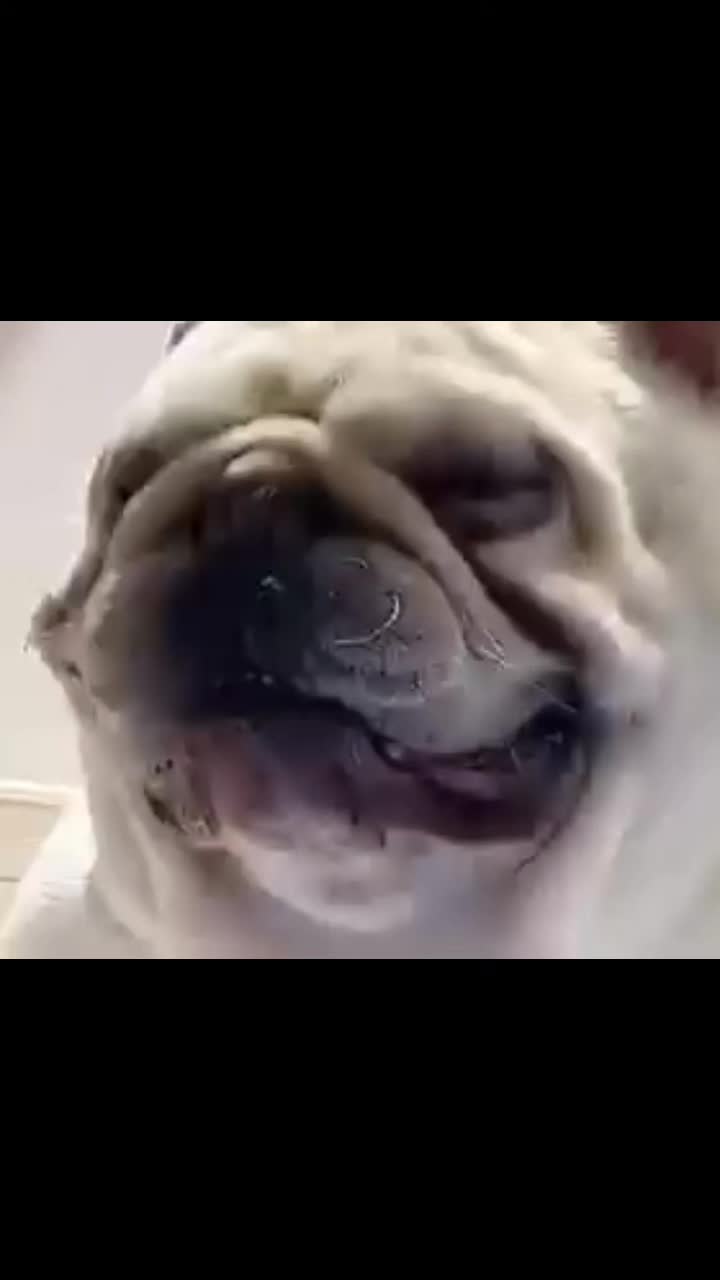 @MisterRobo