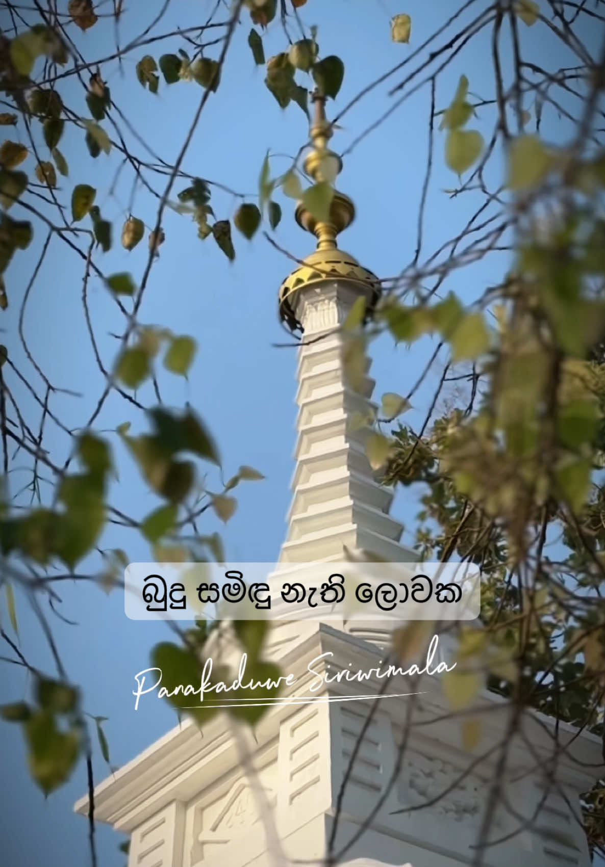 @Siri Wimala thero