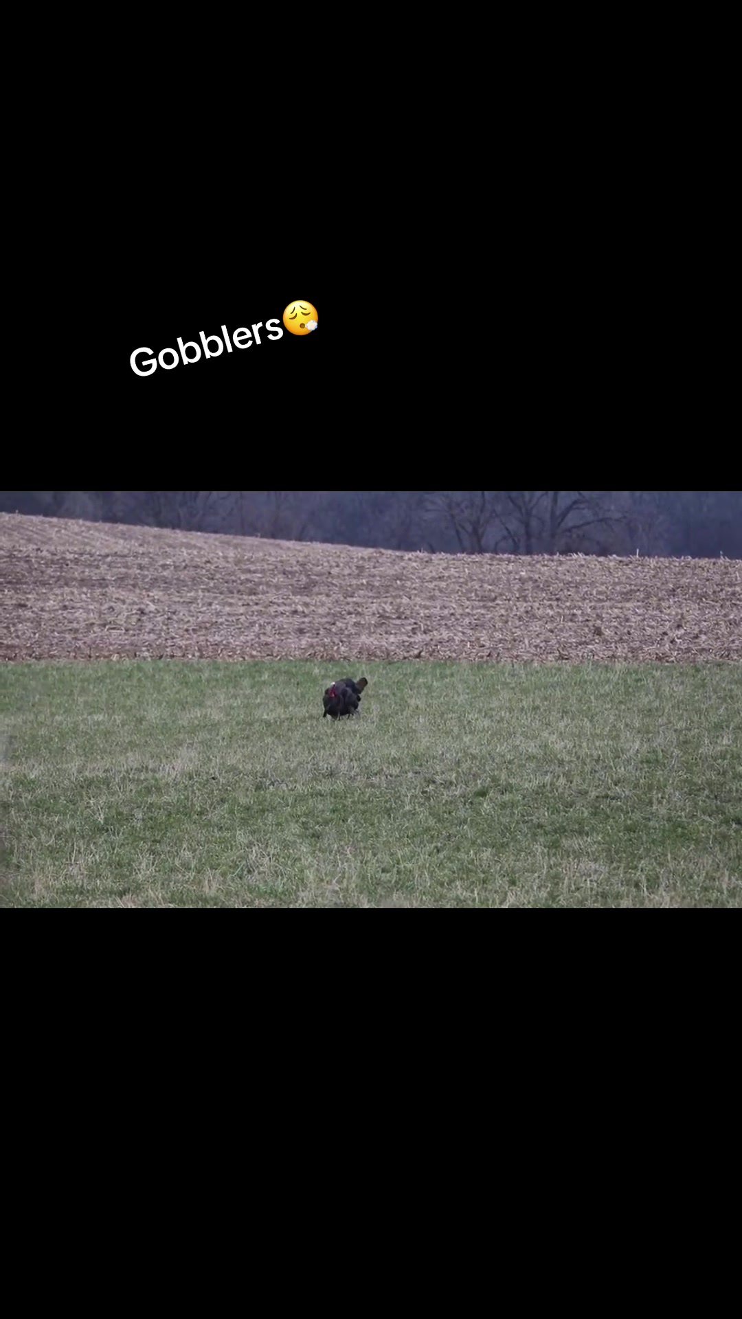 @KGA_Outdoors