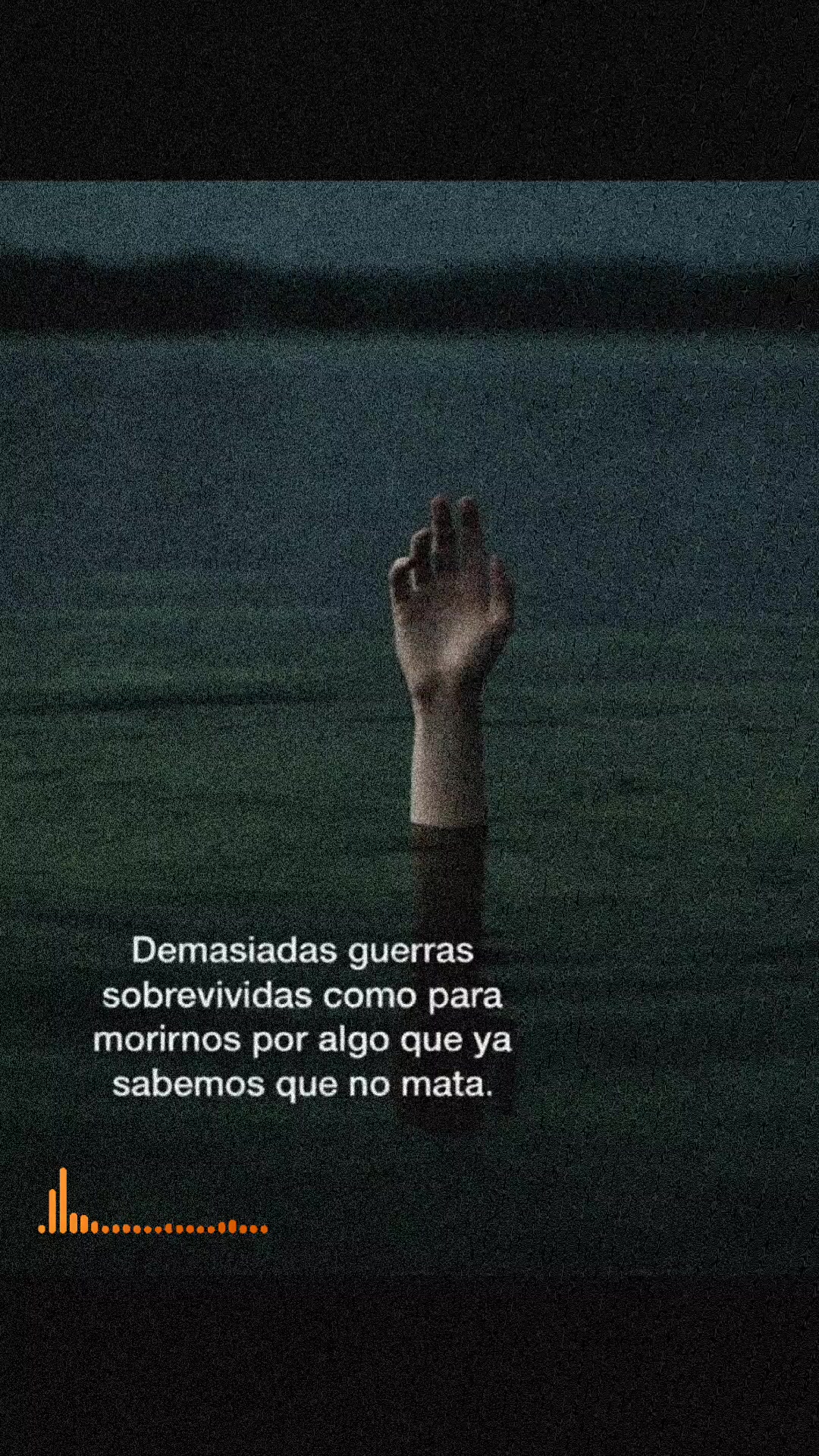 @🍀🖤 Pao 🖤♐