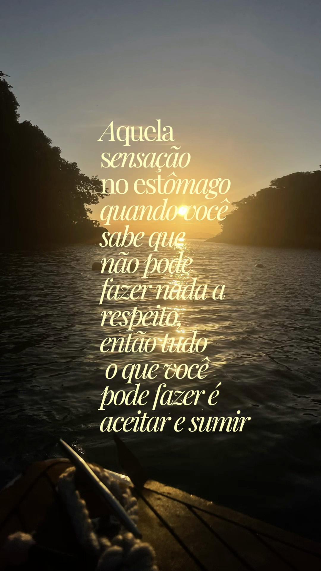 @Larissa Cardoso