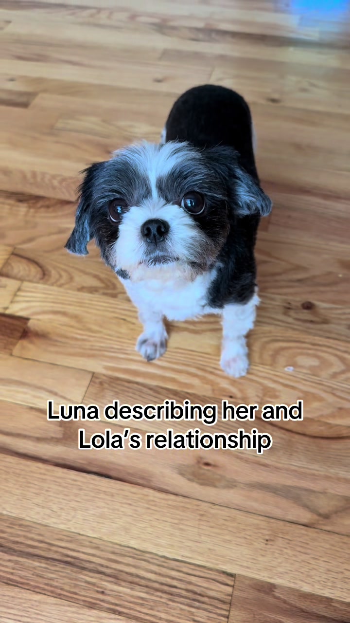 @LittleLuna.and.Lola