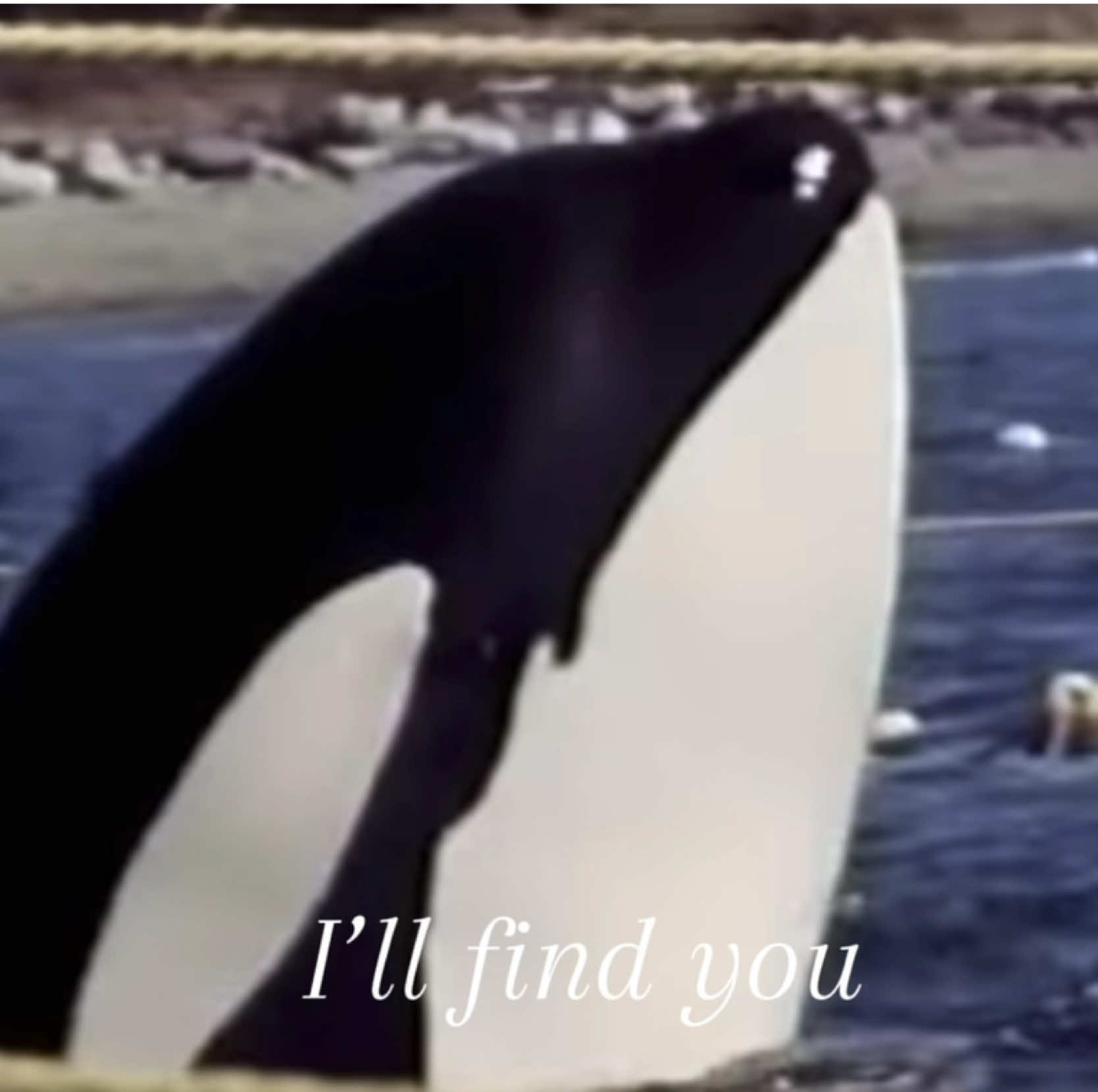 @๐ Tiffany ๐ฌ