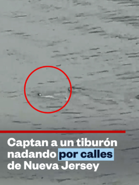@Noticias Telemundo