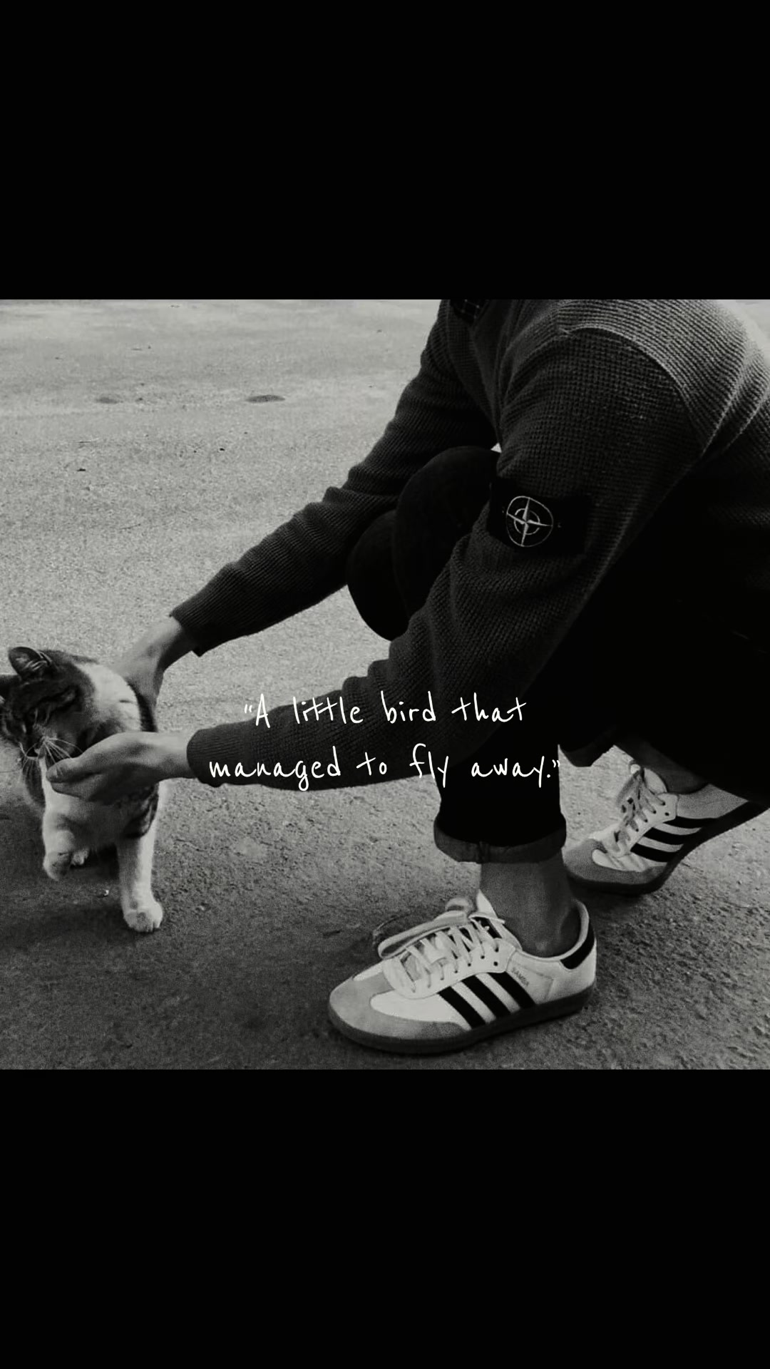 @тгк: prokatyful 🪄📖