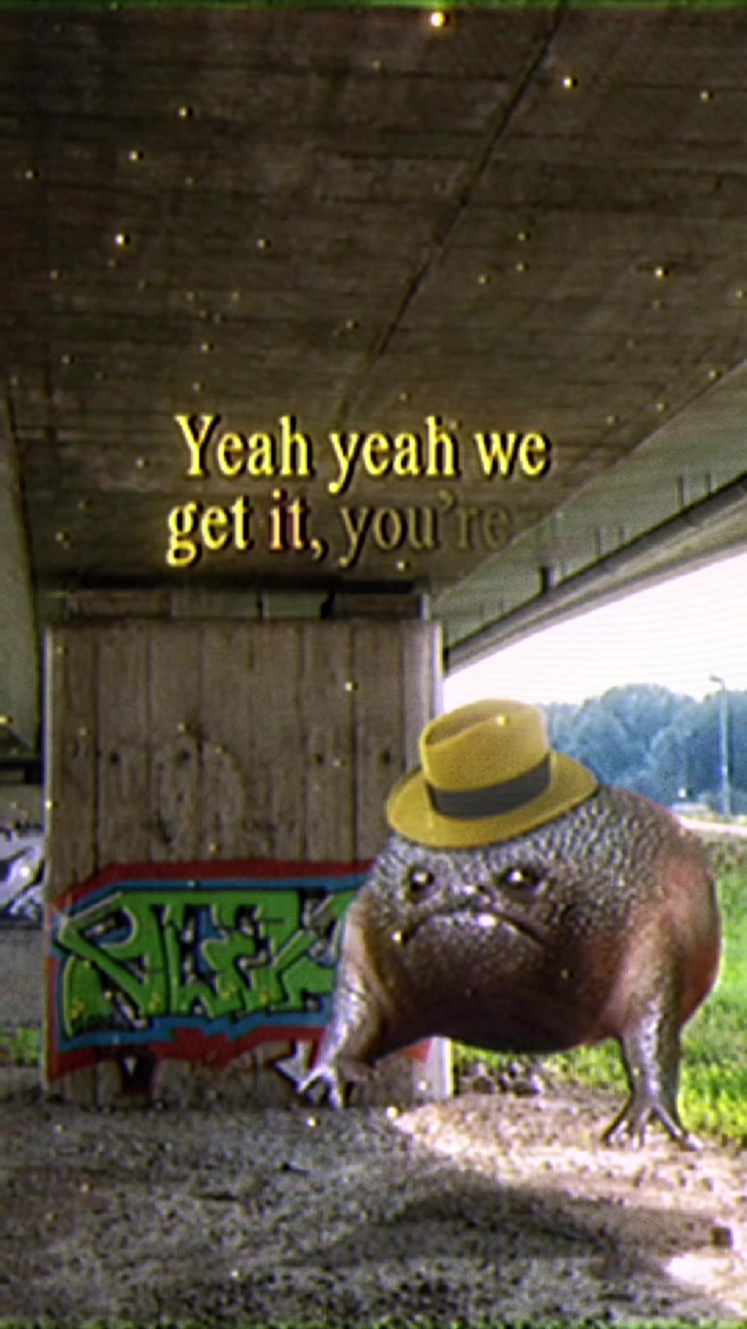 @Holy Frog Father