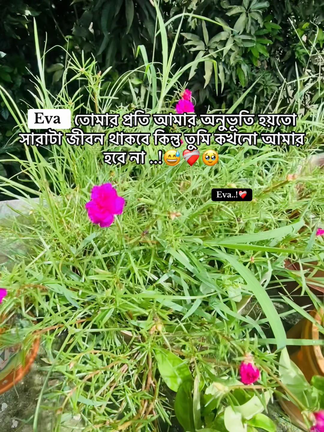 @Ashik