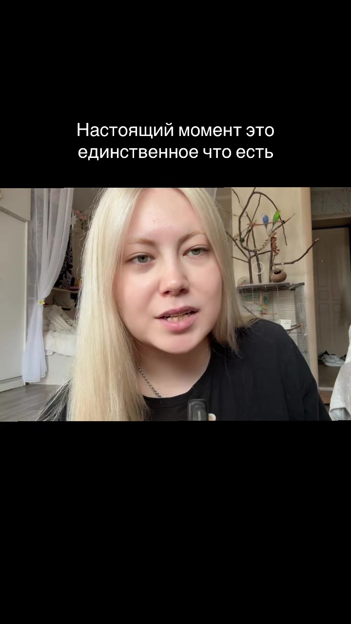 @Lika369