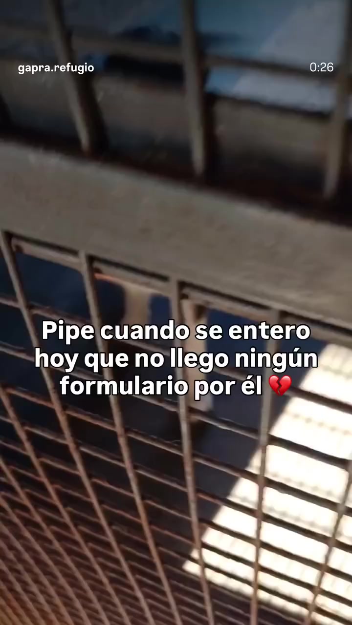 @Vero Orzábal